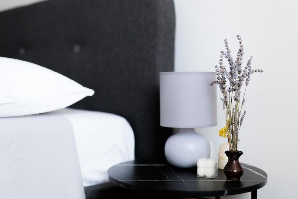 Apartment Dominicus زادار المظهر الخارجي الصورة