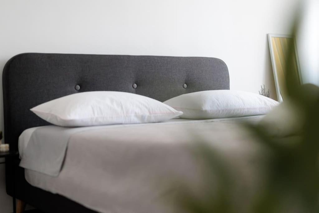 Apartment Dominicus زادار المظهر الخارجي الصورة