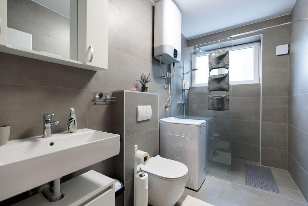 Apartment Dominicus زادار المظهر الخارجي الصورة